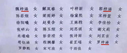 2024年袁姓女孩起名较大乱斗——你想要的“萌宝”名字都在这儿，迅速来挑选吧！