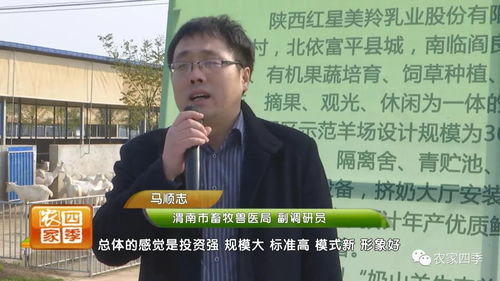 第三一部分：具体案例解析