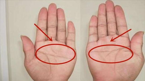 震惊！男人手上藏着惊天秘密，2026年暴富指南来了