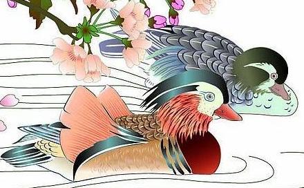 双生肖结合，富贵无忧，为何一生不合？