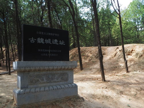 荆楚之地的巨像风波