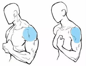 四、不规则怪异——那种左右不对称或着凹凸不平的奇怪肩形到底预示着啥？