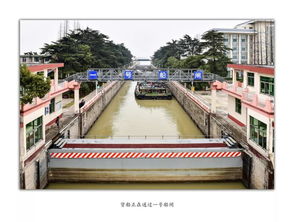 邵伯湖螃蟹