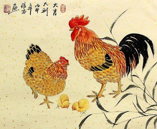 2026年属鸡的人命运如何，会有两喜缠身吗？