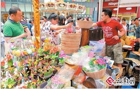 桓仁山核桃油与京租较大米：地域风味的珍品
