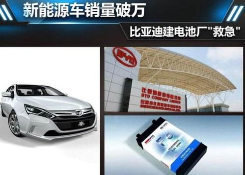 比亚迪电池与成都旅行的奇妙交汇：到底是魔法还是炒作？