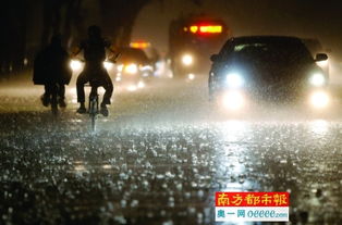 Day2：暴雨天撞大运