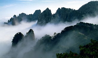 Day 2：黄山风景区 & “自愿”索道