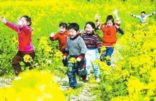 六、 住宿推荐（随意挑选）