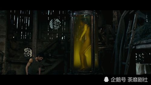 无法逃脱：命运的安排