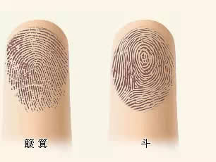 三·一、 十拳对十筐：组合拳式解读（戏剧化）