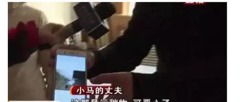 八卦解密：阴阳五行大乱斗