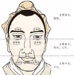 月丘饱满是面部特征吗先别急着照镜子