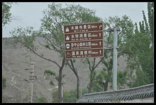 第一章：为什么是信宜？音位这里是绿色的海洋啊喂！