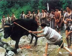 迁坟后必须做的奇葩仪式