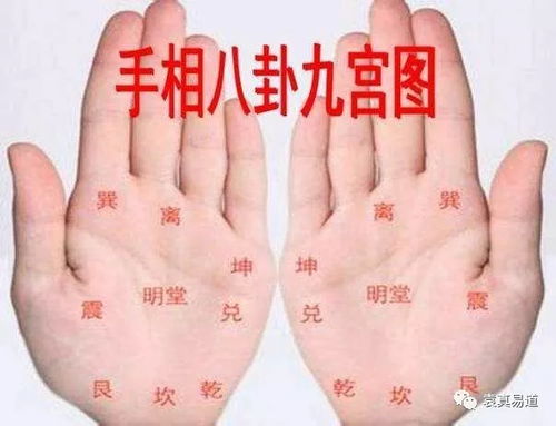 广州街头那位看手相算命的老师，您能给我算一算运势吗？