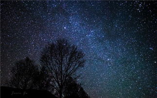 星空酒店：星光灌进枕头的奇葩体验