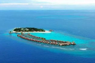 江苏海岛，  风情万种：秦山岛与连岛的暗地花园