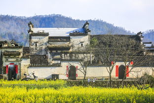 从黄山北站到西递古村——公交+出租混搭体验