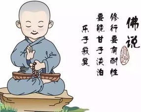 大猫猫：职场PUA终结者