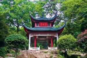 绝了！月亮湾这个鬼地方居然有这种操作