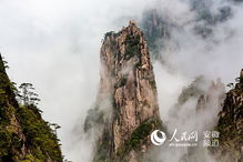 我的亲身经历 (真的!)