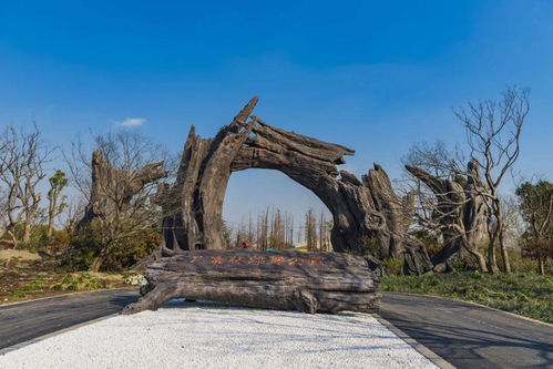 2026年最不靠谱的旅游建议