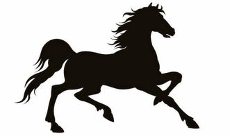 2025年属马人五月事业运势中，转运物件具体指什么？