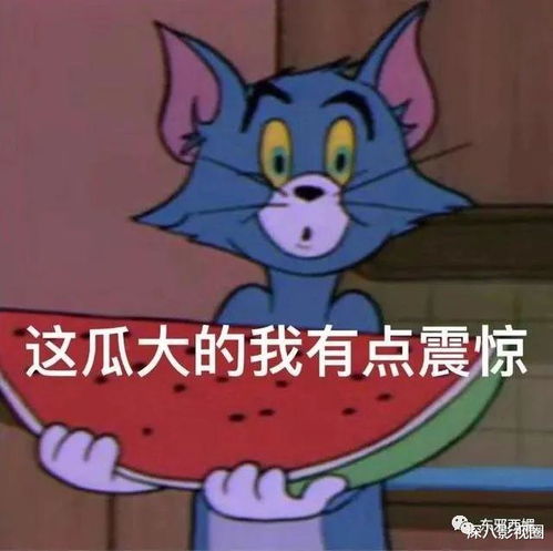 三、 兔月与处女座的细节陷阱