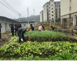 菜地如何布局,菜地周围怎么布置风水