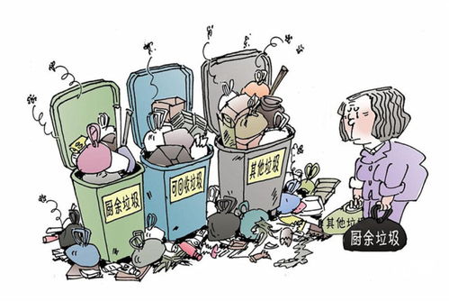 垃圾分类？先把脑子分清楚！