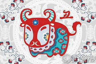 本命虎年属什么生肖？本命虎年生日快乐是什么含义？
