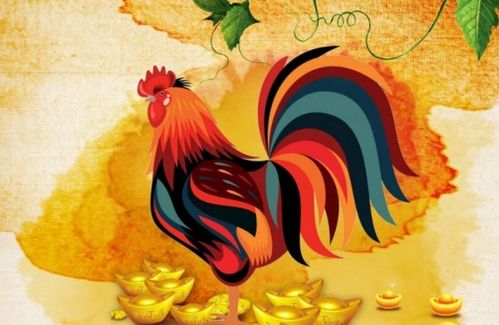鸡年出生属什么生肖？鸡年过后下一个生肖是什么？