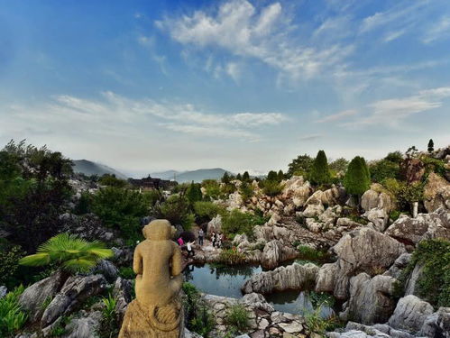 南陵县的秘密花海