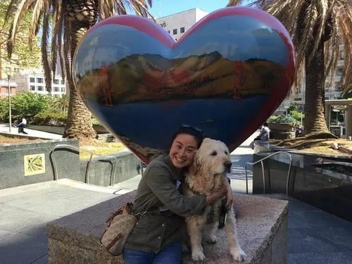 风水布局失误导致阴气逆流