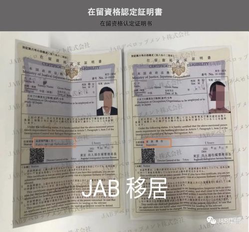 申请流程