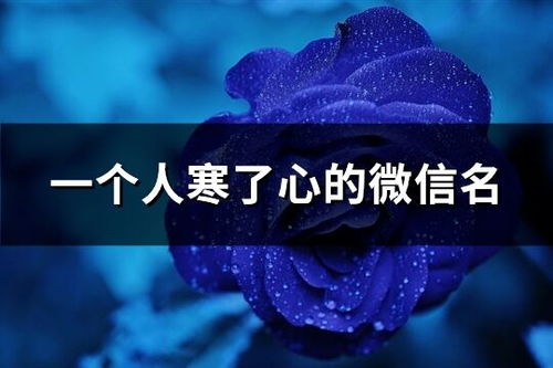 放飞自我：如何打造独一无二的情侣微信网名？