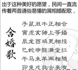 八字中比劫对合婚有何影响？如何通过比劫分析八字合不合？