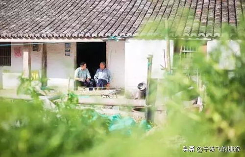 家庭定制游？就是个大坑！