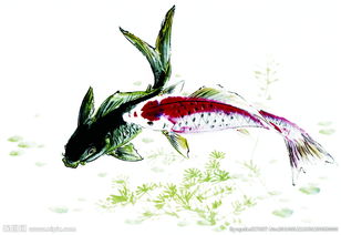 水墨鱼画vs西方油画