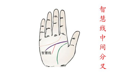 手相智慧线长且双智慧线是什么意思？