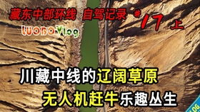 莫沁媛龙年名字到底能不能成更合适的？