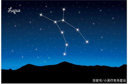 属鼠天秤座2026年农历五月运势和12月运程具体如何？