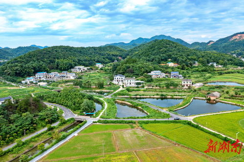四、  蓬安县：招商引资与项目建设——助力崭新陈旧动能转换