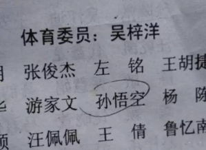 男娃起名野路子