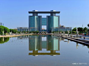 购物篇：义乌小商品市场的远方亲戚