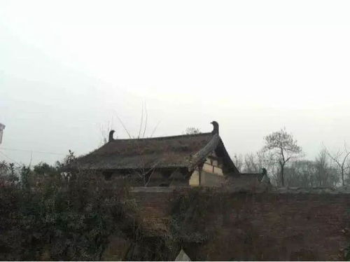 一些不那么“较大牌”，但同样值得一去的禅修地
