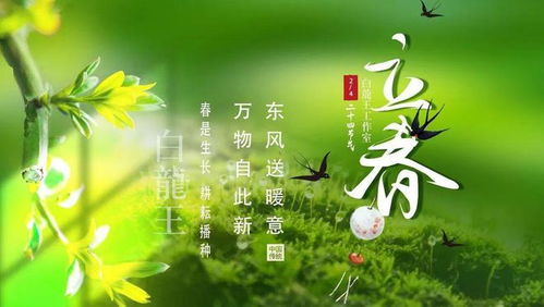 人山人海VS冷冷清清：景点现状大不同