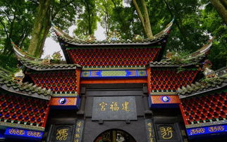 那些关于“巨大”的细节和噪音