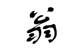 #2 张昔时（男孩）—诞生于2008年12月12日15点30分，据说此刻恰良好星辰相合...可不是吗？😏😏😏